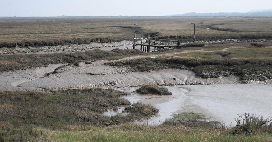 VLUU L200  / Samsung L200