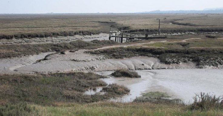 VLUU L200 / Samsung L200