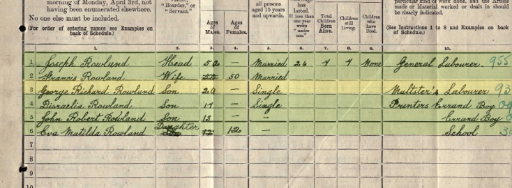 1911 census