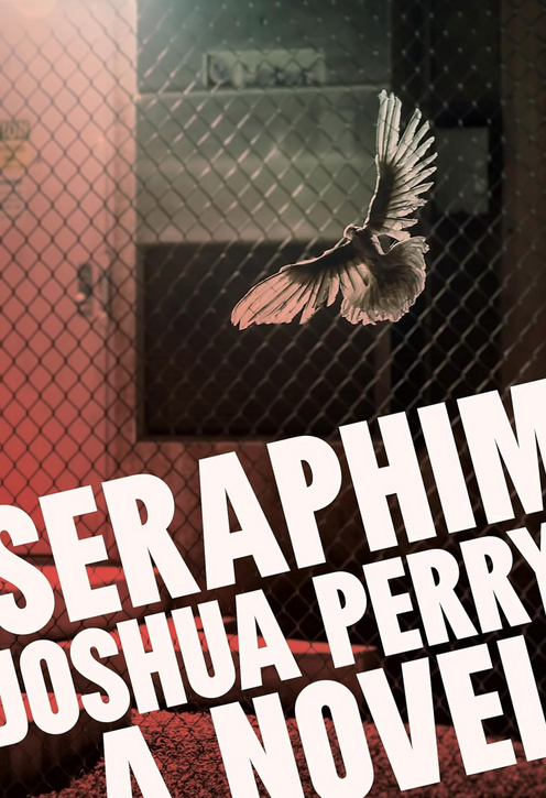 Screen Shot 2024-08-01 at 20.03.46